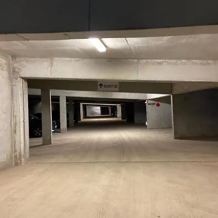 Apartment T2 4 Personnes, Pied Des Pistes, Parking Prive, Piscine La Mongie