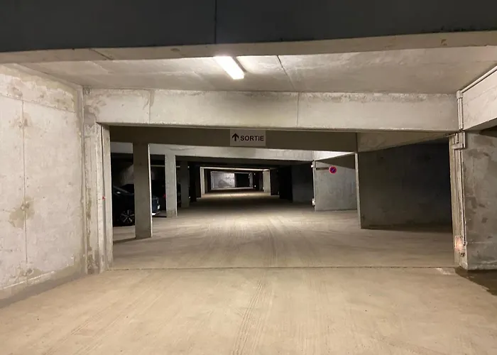 Apartment T2 4 Personnes, Pied Des Pistes, Parking Prive, Piscine La Mongie